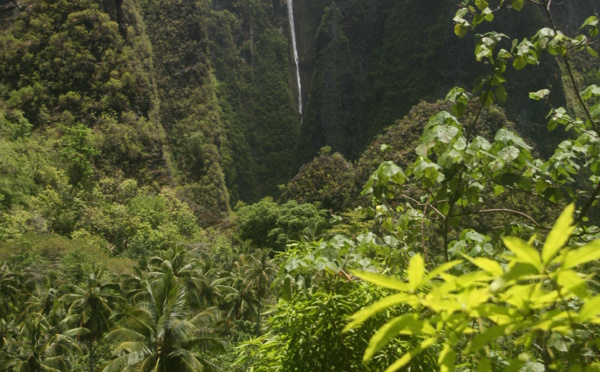 Carnet de voyage à Hakaui : une chute spectaculaire de 350 m !