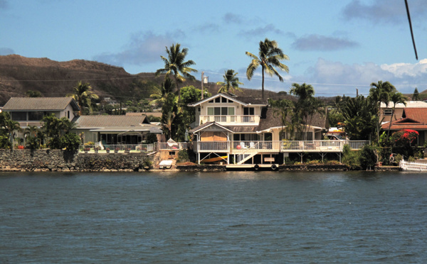 Hawaï : premier cas d'anomalie cérébrale chez un nouveau-né liée au virus Zika