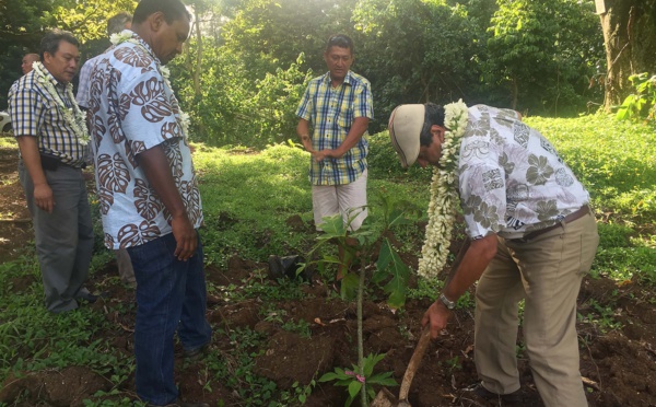 Tournée gouvernementale à Moorea