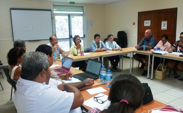 Séminaire sur la redynamisation des centres de jeunes adolescents