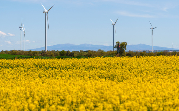 Comment un réseau électrique peut-il s'effondrer en cinq secondes?