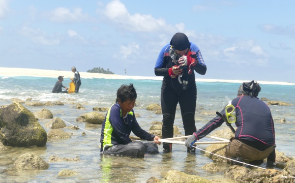 Bientôt une base scientifique à Clipperton