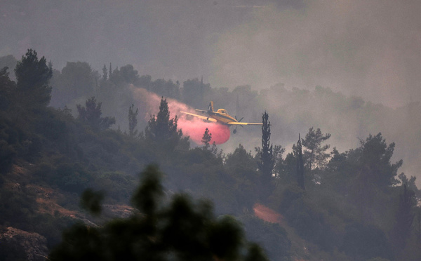 Incendies dévastateurs dans la région de Jérusalem, l'armée mobilisée