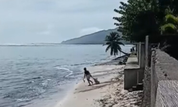 Un acte de cruauté animale filmé à Paea