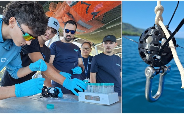 ​La science participative se jette à l’eau  