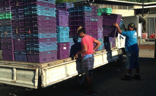 La Sipac favorise les petits agriculteurs locaux