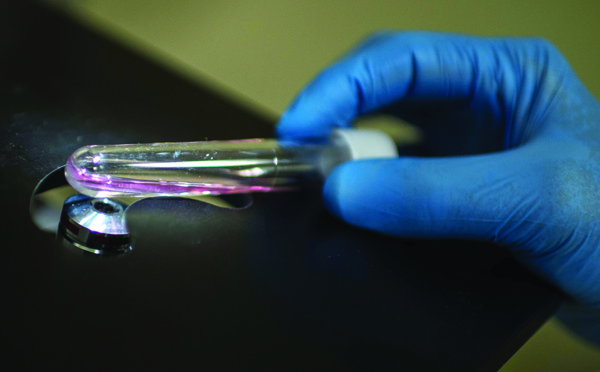 Un cas de Zika en Indonésie, selon un centre de recherche