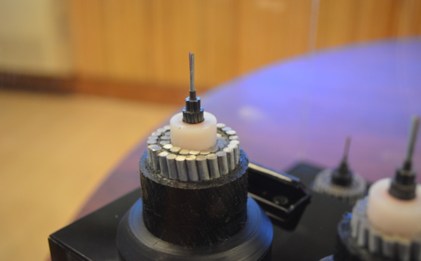 Câble sous-marin : vers un partenariat avec la Nouvelle-Calédonie