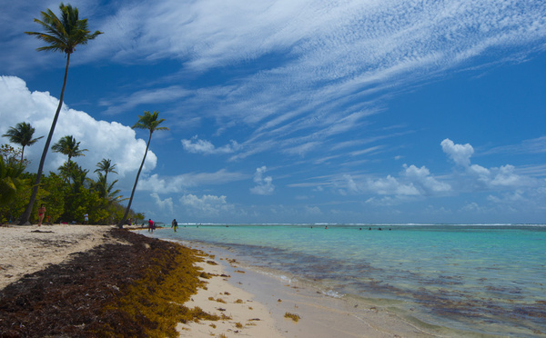 La Martinique et la Guadeloupe en alerte rouge pour mauvaise qualité de l'air