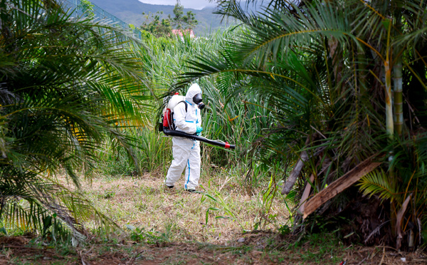 Chikungunya: Mayotte est passée en phase d'épidémie, selon Santé publique France