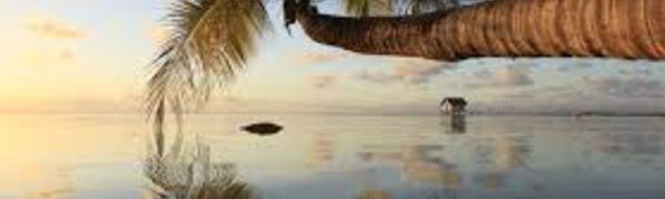 Tourisme: La Polynésie débarrassée du virus Zika, une destination sûre