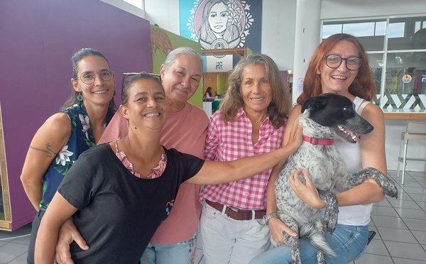 Un Hackathon solidaire pour la cause animale