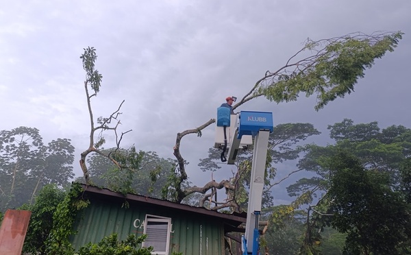 ​La chute d’un arbre provoque une coupure de courant