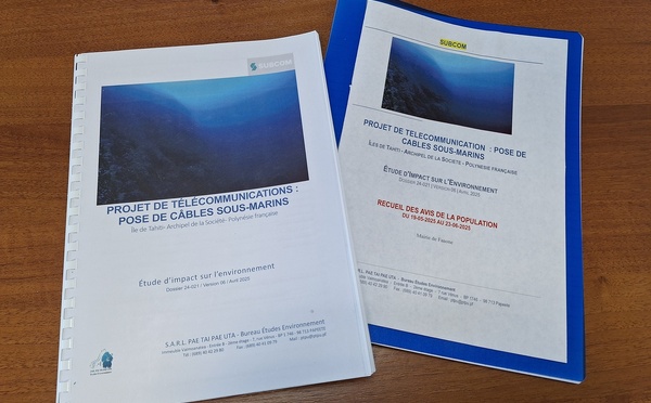 Google passera par Mitirapa, Faratea et Papeno’o