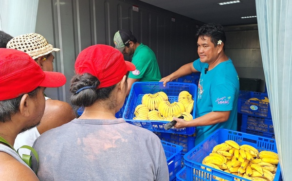 ​Optimiser la maturation des bananes