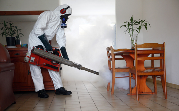 Zika : les microcéphalies pas liées aux produits anti-moustiques en Polynésie