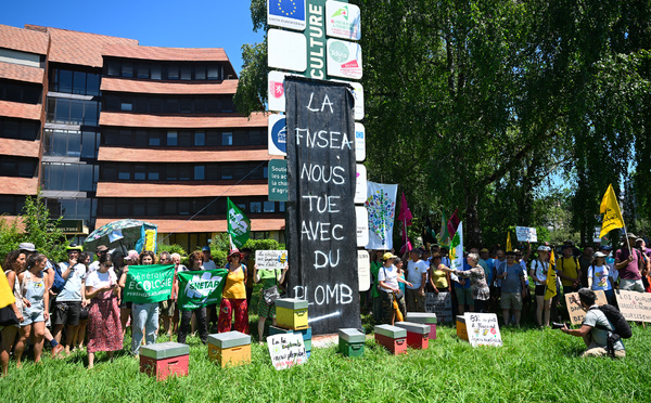 Pesticides: la décriée loi Duplomb soumise à des tractations décisives au Parlement