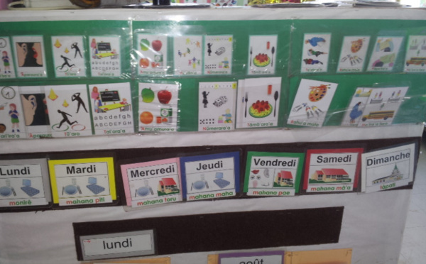 Enseignement du reo mā’ohi vers une généralisation progressive et efficace