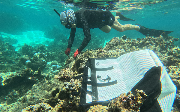 Tamari’i Pointe des Pêcheurs en appelle aux dons