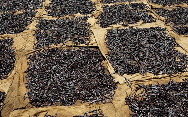 Les agents de l'Épic Vanille ont jusqu'à vendredi pour choisir de partir