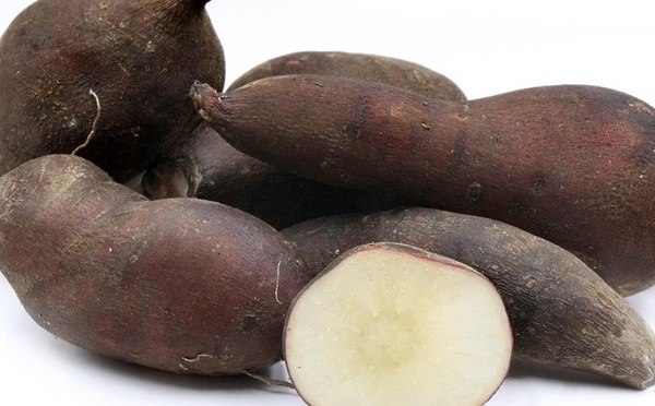 Un goût d’ailleurs : la poire de terre bientôt testée au Fenua