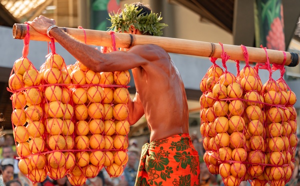 Les plateaux des orangers ouverts au public jusqu’au 31 août