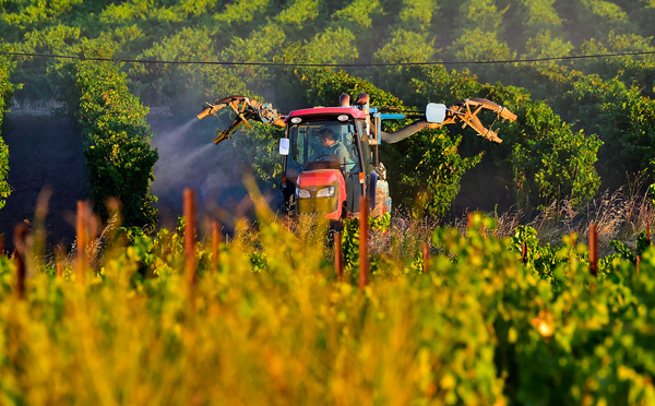 Loi Duplomb "dangereuse": scientifiques et associations de patients interpellent le Conseil constitutionnel