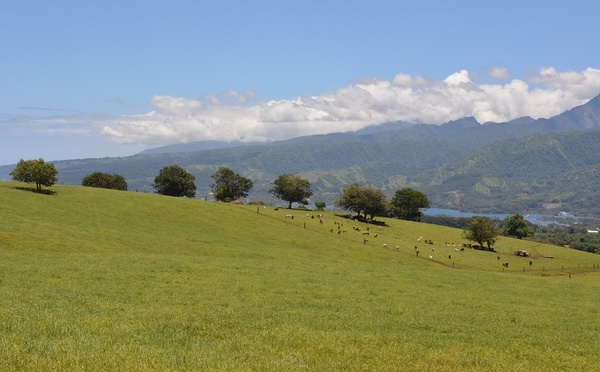 Plan de décentralisation : accueil mitigé des élus de l'assemblée