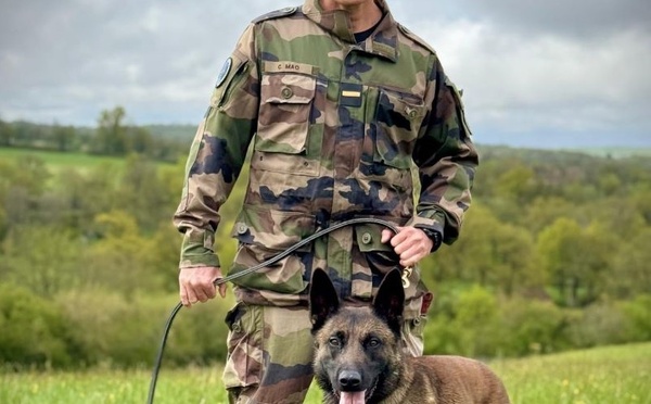 Pirate, une nouvelle recrue pour la gendarmerie au Fenua