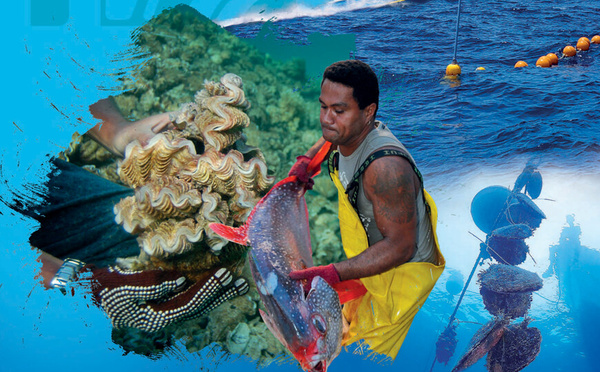 ​Les chiffres-clés des ressources marines