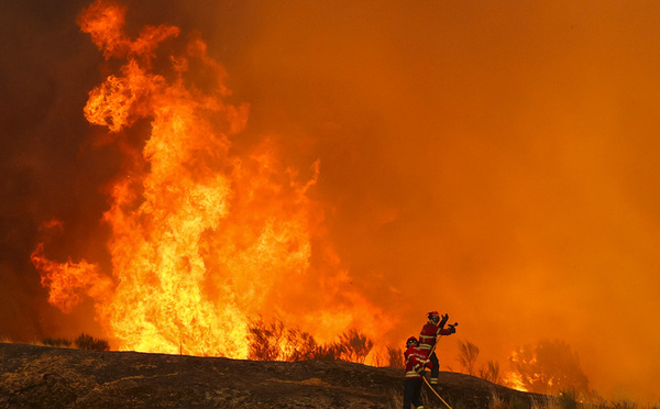 La canicule et les incendies ne laissent aucun répit à l'Europe du Sud