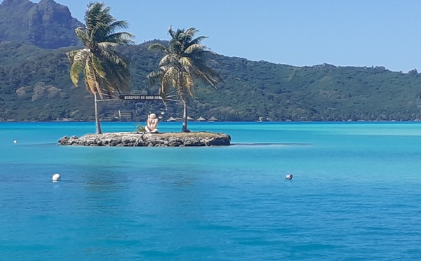 Bora Bora : un chien blessé par balle près de l’aéroport