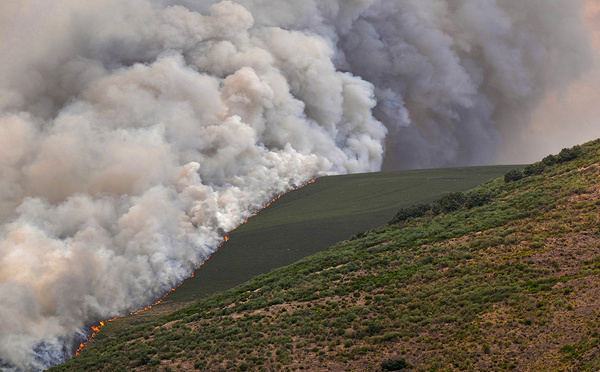 Les incendies ont déjà ravagé 343.000 hectares en 2025 en Espagne, un nouveau record