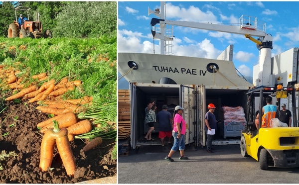 ​Les carottes de Tubuai sont arrivées