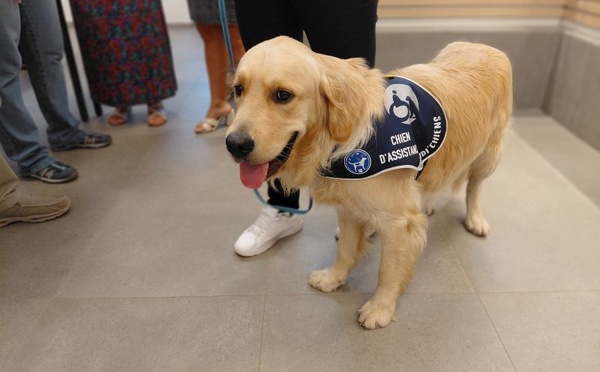 Ukyo, un chien aux côtés des victimes