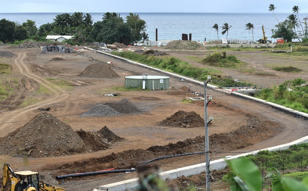 Coraux et baleines au cœur des travaux