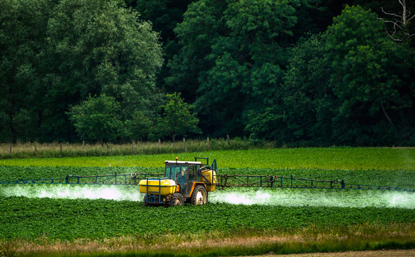 Santé et biodiversité: l'État devra revoir des autorisations de pesticides