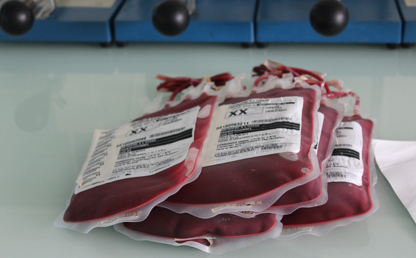 ​Septembre Rouge face aux cancers du sang