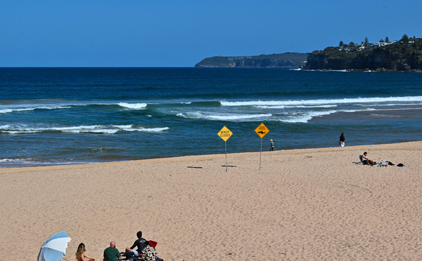 Un surfeur tué par un "grand requin" en Australie