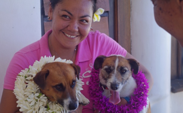 Lutte contre le rat noir : six mois de travail pour Dora et Wisky 