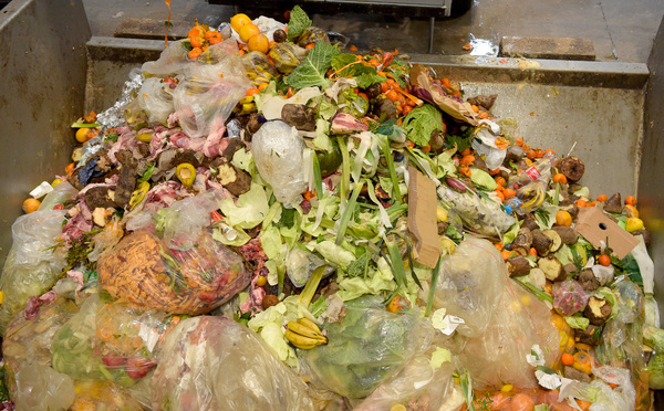 L'UE s'attaque au gaspillage alimentaire et à la fast fashion