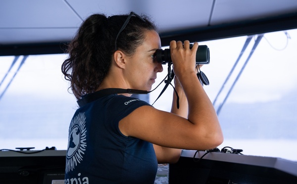 52 collisions évitées avec des baleines au mois d'août entre Tahiti et Moorea