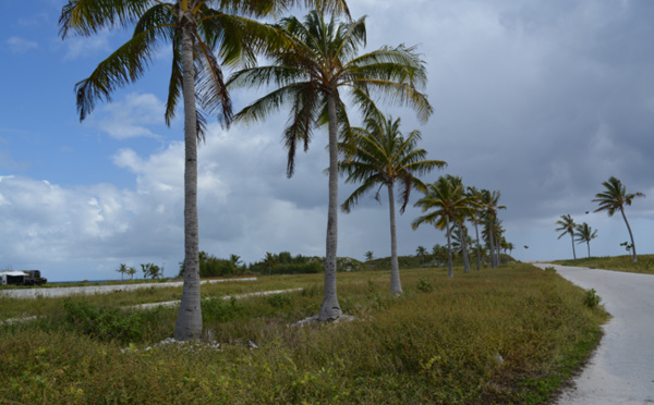 Comment va fonctionner l'usine aquacole de Hao