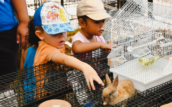 ​Cap sur la 39e Foire Agricole