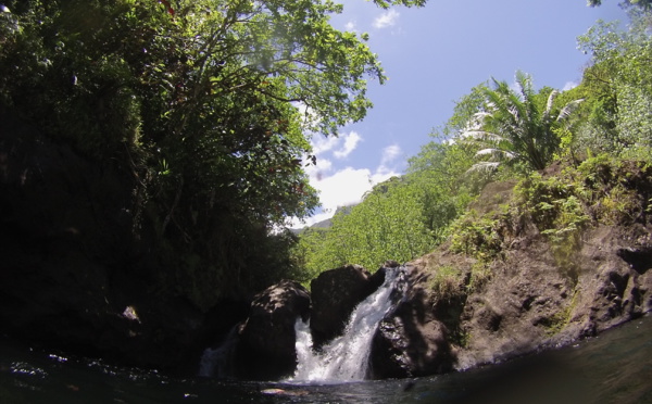 Fermeture exceptionnelle du parc de Te Faaiti jusqu’au 20 mars