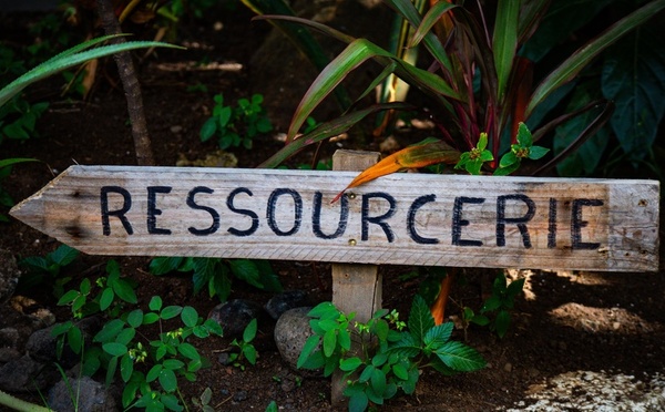 Immersion à la ressourcerie de Mahina