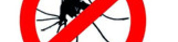 Stop aux piqûres de moustiques