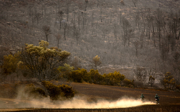 Loi contre la déforestation: Bruxelles veut un nouveau report