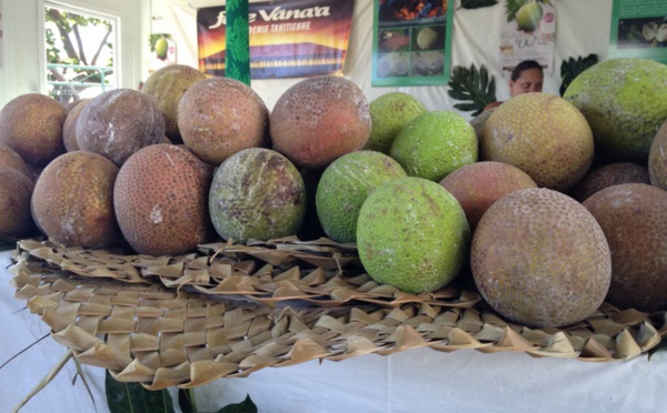 E hope te Heiva no te 'uru mahana mā'a i te Fare Tauhiti Nui