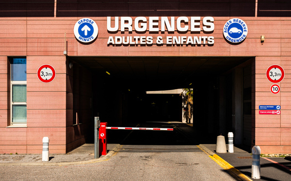 Cas mortel de la rage à Perpignan, le premier en métropole depuis 2023